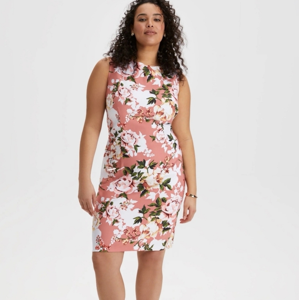 Laura petites rose print sleeveless sheath cottagecore dress. Size 8